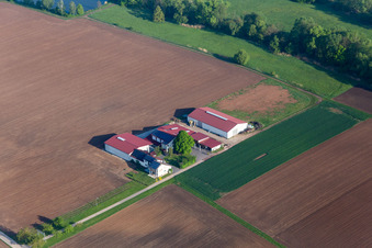 Vue aérienne de Domaine viticole et vin mousseux Rosenhof à Steinweiler dans le département Rhénanie-Palatinat, Allemagne