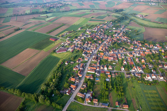 Schœnenbourg dans le département Bas Rhin, France d'en haut