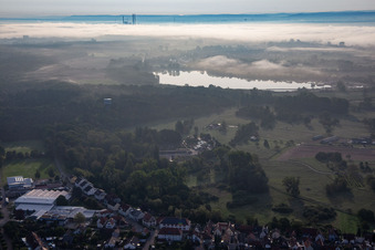 Vue aérienne de Pépinière Bienwald / Greentec à Berg dans le département Rhénanie-Palatinat, Allemagne