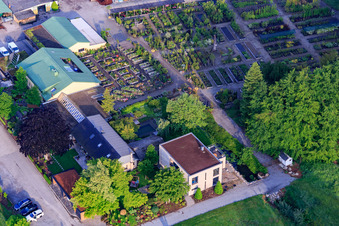Pépinière Bienwald / Greentec à Berg dans le département Rhénanie-Palatinat, Allemagne vue d'en haut