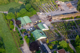 Vue aérienne de Bâtiments et massifs de la pépinière, jardinerie et paysagiste Greentec GmbH de Bienwald (Palatinat) à Berg dans le département Rhénanie-Palatinat, Allemagne