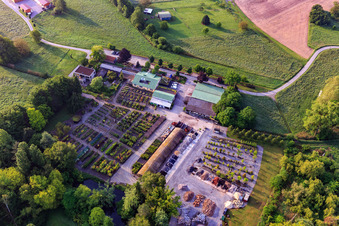 Enregistrement par drone de Pépinière Bienwald / Greentec à Berg dans le département Rhénanie-Palatinat, Allemagne