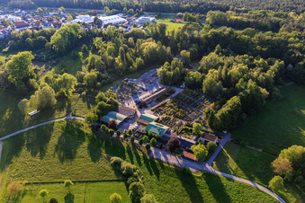 Pépinière Bienwald / Greentec à Berg dans le département Rhénanie-Palatinat, Allemagne du point de vue du drone