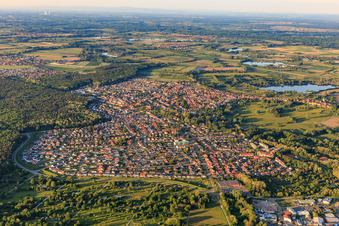 Vue aérienne de Vue d'ensemble de la ville depuis le sud-ouest à Jockgrim dans le département Rhénanie-Palatinat, Allemagne