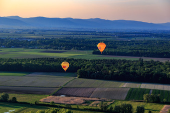 Vue aérienne de Ballons jumeaux Pfalzgas à Steinweiler dans le département Rhénanie-Palatinat, Allemagne