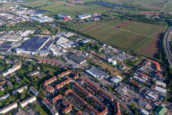 Vue aérienne de HNorstring avec Der Bäder-Stern, Fritz Walter Eisen- und Sanitärhandel GmbH & Co. KG, MAN Truck & Bus Service Landau et Progroup AG à Landau in der Pfalz dans le département Rhénanie-Palatinat, Allemagne