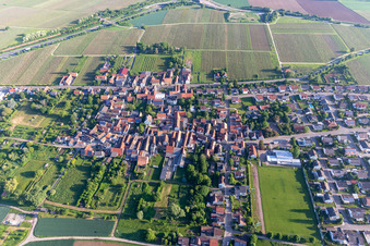 Vue d'oiseau de Quartier Dammheim in Landau in der Pfalz dans le département Rhénanie-Palatinat, Allemagne