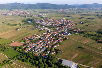 Vue oblique de (Palatinat) à Kirrweiler dans le département Rhénanie-Palatinat, Allemagne