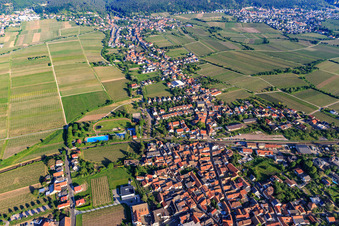 Vue aérienne de Kurpfalzstraße depuis l'est à le quartier Mußbach in Neustadt an der Weinstraße dans le département Rhénanie-Palatinat, Allemagne