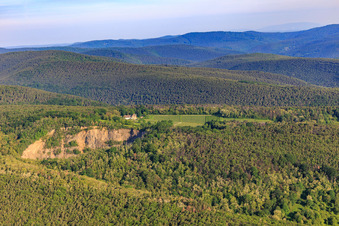 Vue aérienne de Domaine viticole d'Odinstal derrière la carrière de basalte à Wachenheim an der Weinstraße dans le département Rhénanie-Palatinat, Allemagne