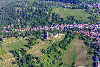 Vue aérienne de Wachtenburg (Ruines du château de Wachenheim) à Wachenheim an der Weinstraße dans le département Rhénanie-Palatinat, Allemagne