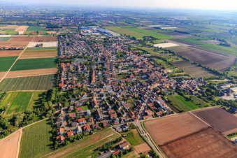 Vue oblique de Vue de la ville depuis le sud à Fußgönheim dans le département Rhénanie-Palatinat, Allemagne