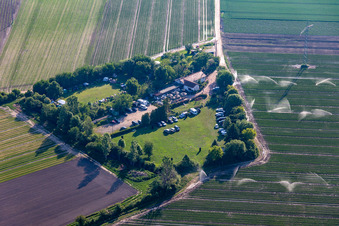 Vue aérienne de SV OG à Mutterstadt dans le département Rhénanie-Palatinat, Allemagne