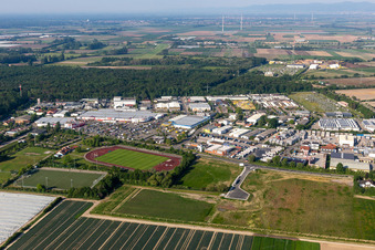 Vue aérienne de Mutterstadt dans le département Rhénanie-Palatinat, Allemagne