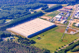 Vue aérienne de Parc industriel Waldstückerring du nord avec le hall de Continental Reifen GmbH et GreenGarden Garten Bau à Bellheim dans le département Rhénanie-Palatinat, Allemagne