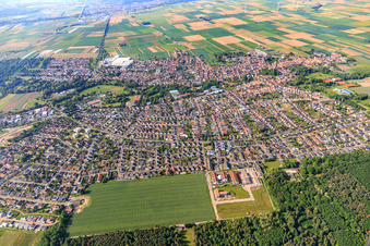 Vue aérienne de Vue d'ensemble de la ville depuis le nord à Bellheim dans le département Rhénanie-Palatinat, Allemagne