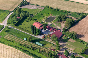 Vue aérienne de Biotope par Michael Schwager à Herxheim bei Landau dans le département Rhénanie-Palatinat, Allemagne