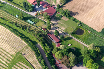 Vue aérienne de Ranch Herxe à Herxheim bei Landau dans le département Rhénanie-Palatinat, Allemagne