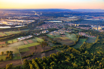 Vue aérienne de Vue d'ensemble de la ville depuis le nord à Wörth am Rhein dans le département Rhénanie-Palatinat, Allemagne
