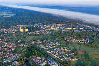 Vue aérienne de Vue d'ensemble de la ville depuis le nord-est avec le quartier Dorschberg à Wörth am Rhein dans le département Rhénanie-Palatinat, Allemagne