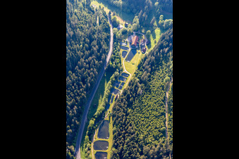 Vue aérienne de Zones riveraines des étangs destinés à la pisciculture sur le canal du moulin de Nagold dans le district de Völmlesmühle à Grömbach dans le département Bade-Wurtemberg, Allemagne