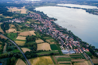 Vue aérienne de Zones riveraines du lac Untersee/lac de Constance à Allensbach dans le département Bade-Wurtemberg, Allemagne