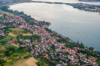 Photographie aérienne de Zones riveraines du lac Untersee/lac de Constance à Allensbach dans le département Bade-Wurtemberg, Allemagne