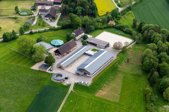 Vue aérienne de Centre équestre de Kaltenbach avec écuries et longe à Sulz am Neckar dans le département Bade-Wurtemberg, Allemagne