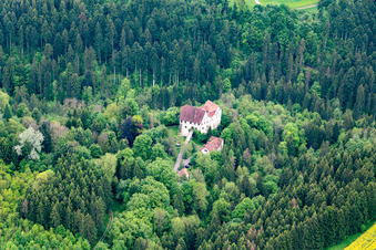 Vue aérienne de Château de Lichtegg à Epfendorf dans le département Bade-Wurtemberg, Allemagne