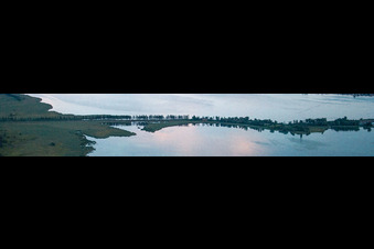Vue aérienne de Panorama de la jetée de l'île du lac de Constance Reichenau à le quartier Lindenbühl in Reichenau dans le département Bade-Wurtemberg, Allemagne