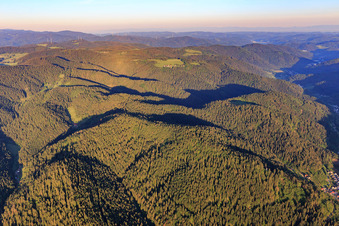 Vue aérienne de Collines de la Forêt-Noire sous la lumière du matin à Schiltach dans le département Bade-Wurtemberg, Allemagne