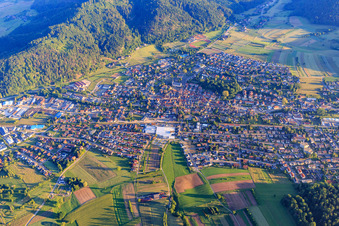 Vue aérienne de Du sud-est à Zell am Harmersbach dans le département Bade-Wurtemberg, Allemagne