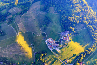 Vue aérienne de Haus La Verna et résidence et maison de retraite Haus Bethanien à le quartier Einach in Gengenbach dans le département Bade-Wurtemberg, Allemagne