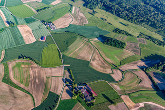 Vue aérienne de Parcours d'apprentissage, Helmut Hurst à le quartier Legelshurst in Willstätt dans le département Bade-Wurtemberg, Allemagne