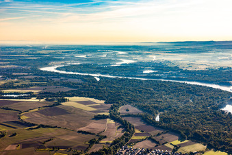 Vue aérienne de Genou du Rhin Alter Kopfgrund à le quartier Greffern in Rheinmünster dans le département Bade-Wurtemberg, Allemagne