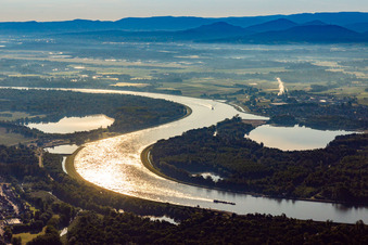 Vue aérienne de Méandres courbes - boucle des berges du Rhin en Söllingen à le quartier Söllingen in Rheinmünster dans le département Bade-Wurtemberg, Allemagne