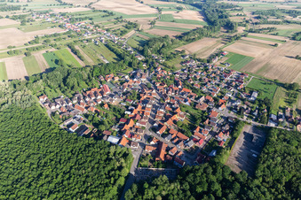 Vue aérienne de Des zones forestières et des bois entourent la zone d'implantation du village de Schaffhouse-près-Seltz à Schaffhouse-près-Seltz dans le département Bas Rhin, France