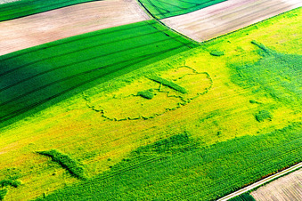 Enregistrement par drone de Seltz dans le département Bas Rhin, France