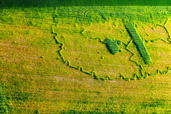 Wintzenbach dans le département Bas Rhin, France d'un drone