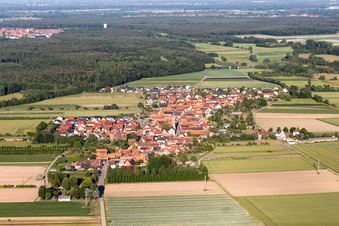Vue aérienne de De l'ouest à Erlenbach bei Kandel dans le département Rhénanie-Palatinat, Allemagne