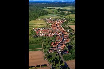 Vue aérienne de Vue du village depuis le nord-ouest à Erlenbach bei Kandel dans le département Rhénanie-Palatinat, Allemagne
