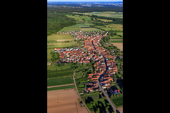 Vue aérienne de Vue du village depuis le nord-ouest à Erlenbach bei Kandel dans le département Rhénanie-Palatinat, Allemagne
