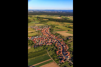 Vue oblique de Vue du village depuis le nord-ouest à Erlenbach bei Kandel dans le département Rhénanie-Palatinat, Allemagne