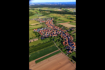 Vue du village depuis le nord-ouest à Erlenbach bei Kandel dans le département Rhénanie-Palatinat, Allemagne d'en haut