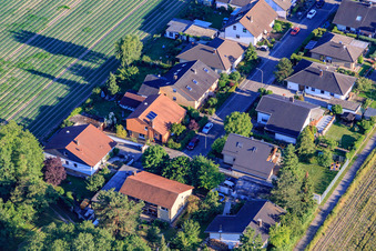 Vue aérienne de Waldstr à Erlenbach bei Kandel dans le département Rhénanie-Palatinat, Allemagne