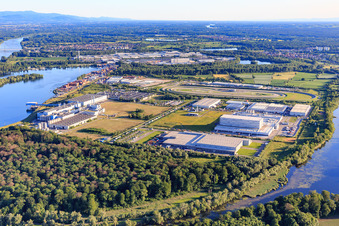 Vue aérienne de Zone industrielle d'Am Oberwald, vue du nord-est à Wörth am Rhein dans le département Rhénanie-Palatinat, Allemagne