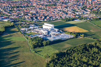 Vue aérienne de Zone industrielle et commerciale Max-Becker-Straße avec Klocke Verpackungs-Service GmbH et KLEBCHEMIE MG Becker GmbH & Co. KG à Weingarten dans le département Bade-Wurtemberg, Allemagne