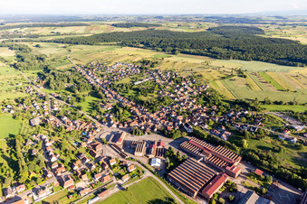 Zinswiller dans le département Bas Rhin, France vu d'un drone