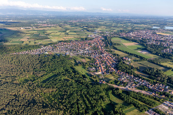 Oberhoffen-sur-Moder dans le département Bas Rhin, France d'un drone