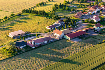 Vue d'oiseau de Buhl dans le département Bas Rhin, France